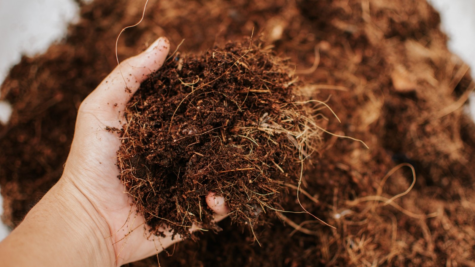 A close-up of a hand holding a bundle of tangled, fibrous coconut coir, its reddish-brown strands rough and wiry, with soft green plants visible in the background.