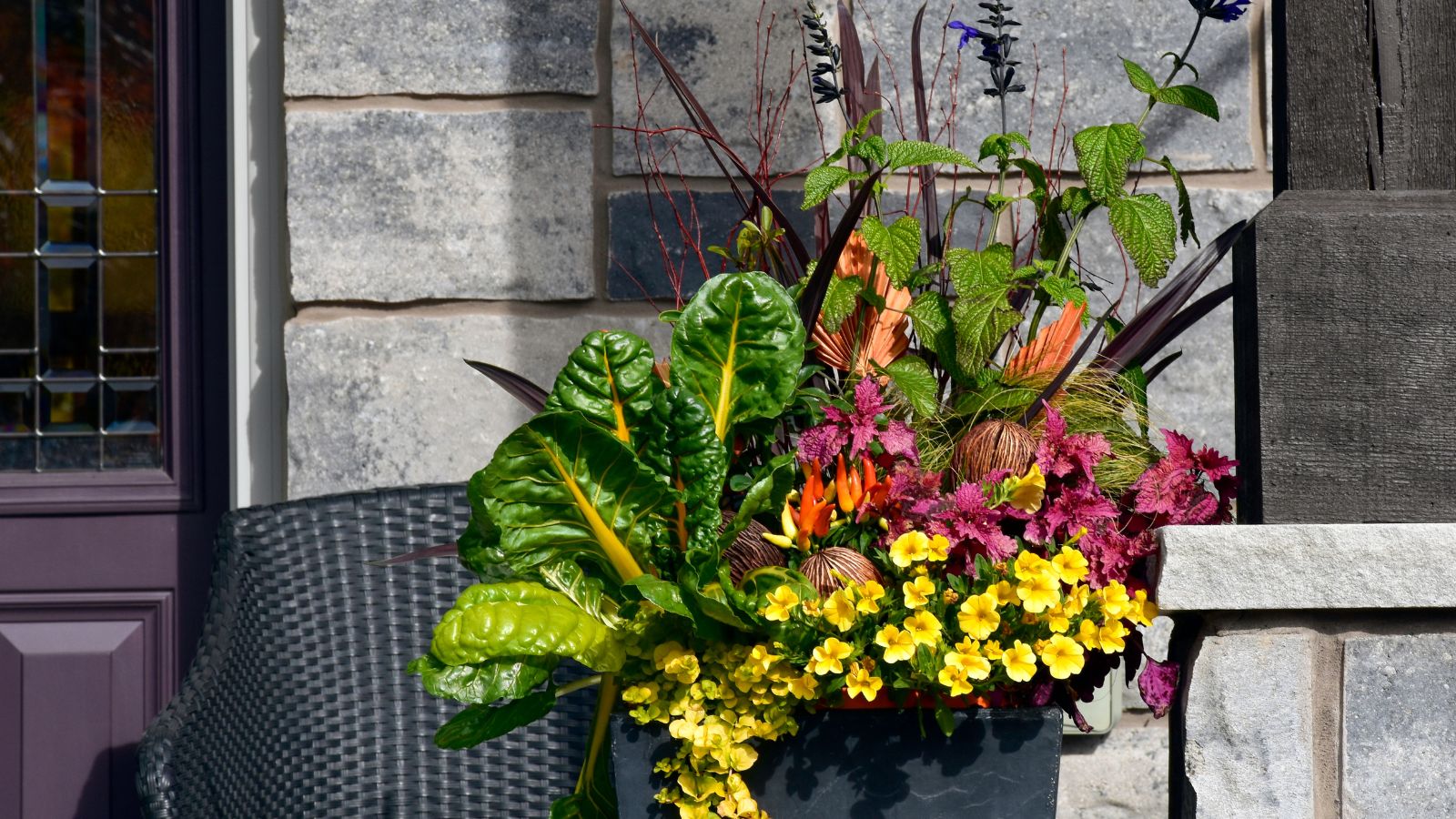 A shot of various ornamental kales and other flowers in a black rectangular pot situated in an area outdoors