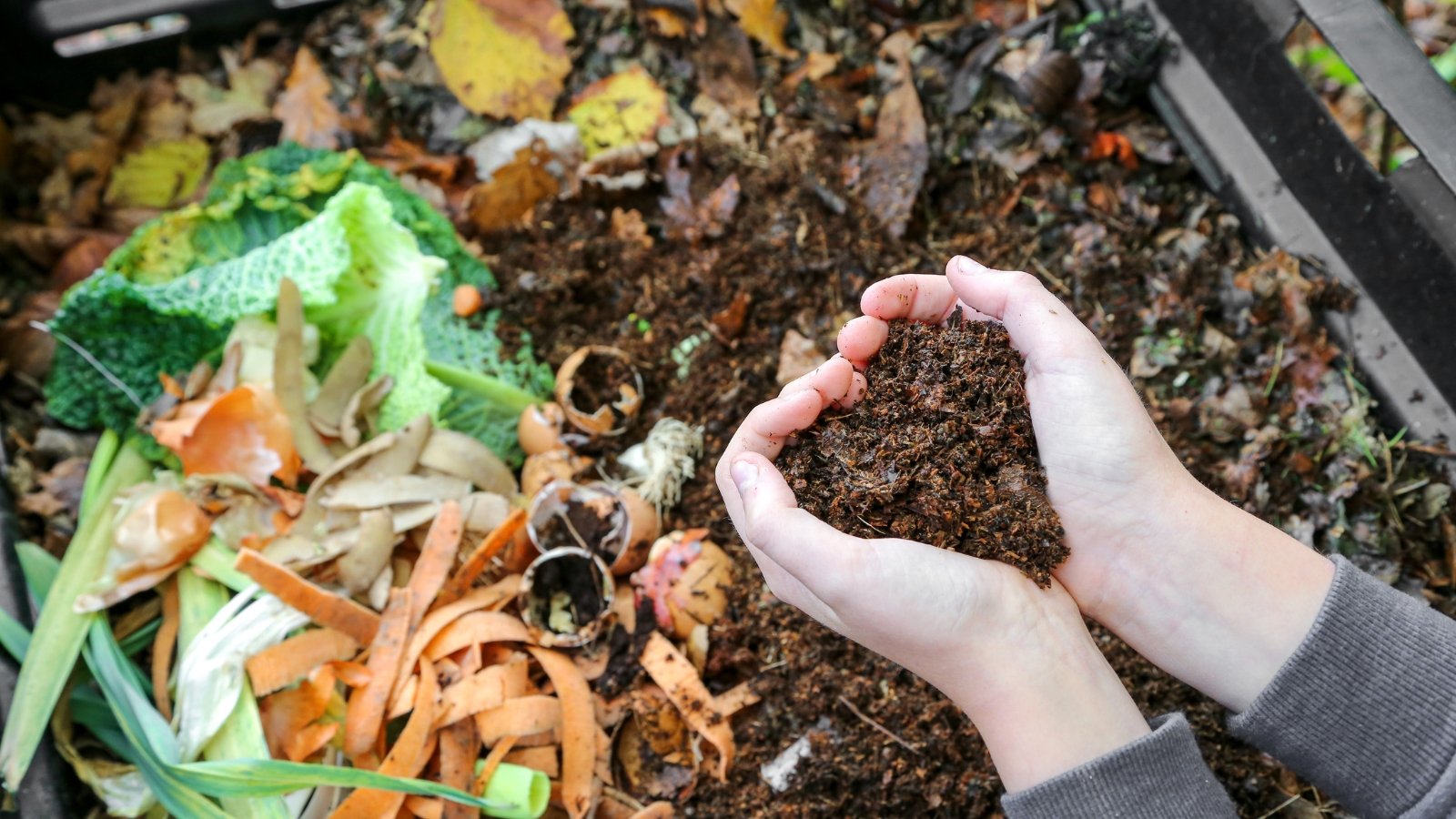 How Scorching Must My Compost Pile Be?