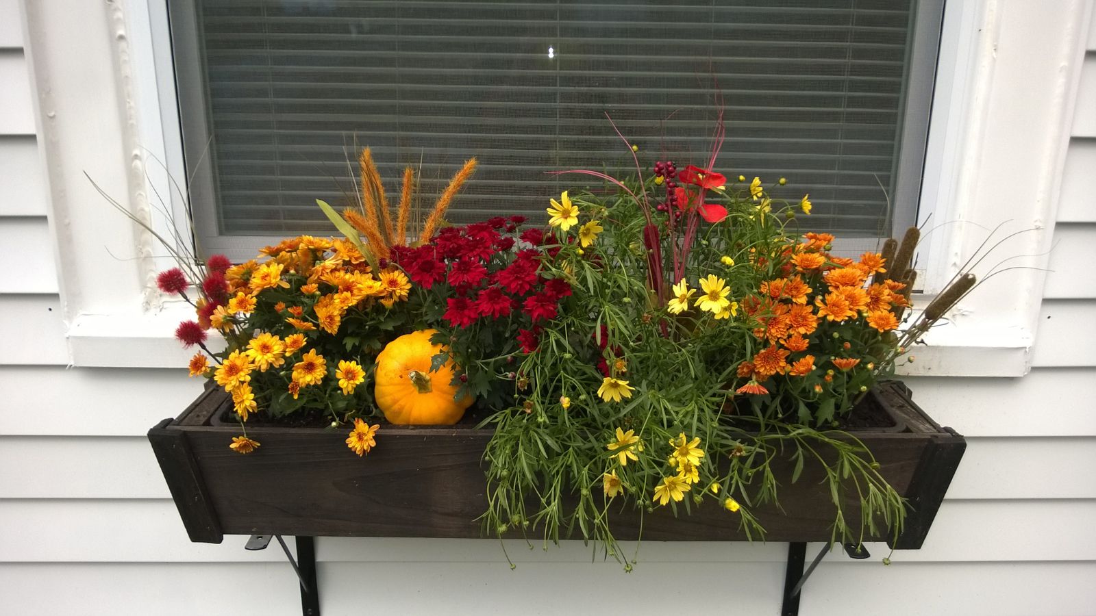 Tips about learn how to Plant The Wonderful Fall Container Yard