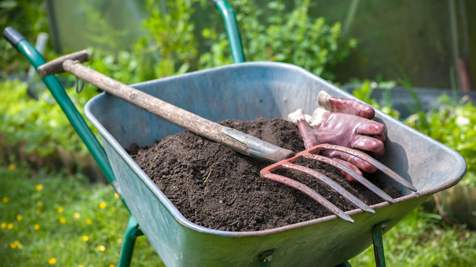 9 Simple Strategies to Improve Your Soil