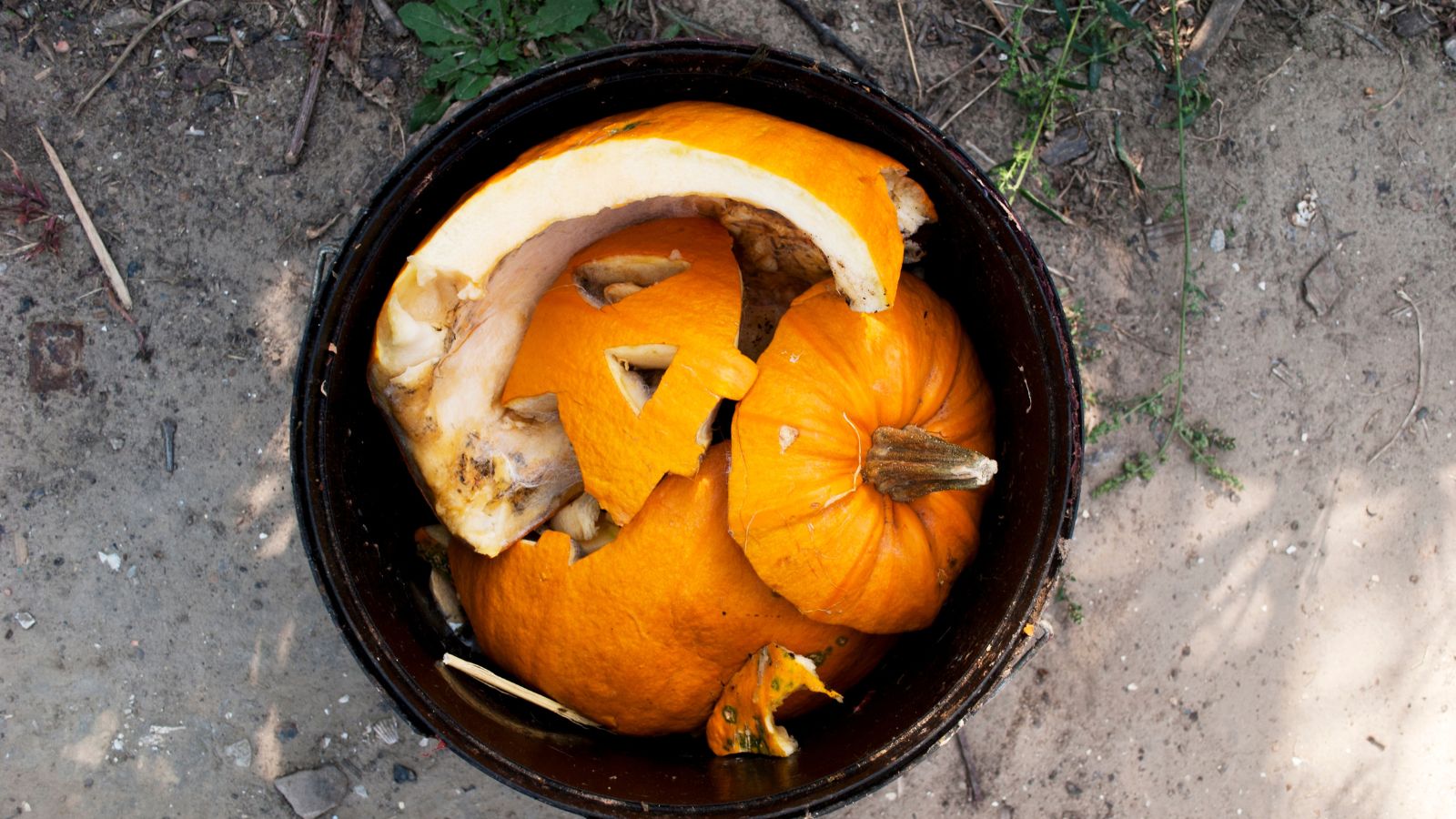 The proper strategy to Compost Your Halloween Pumpkins