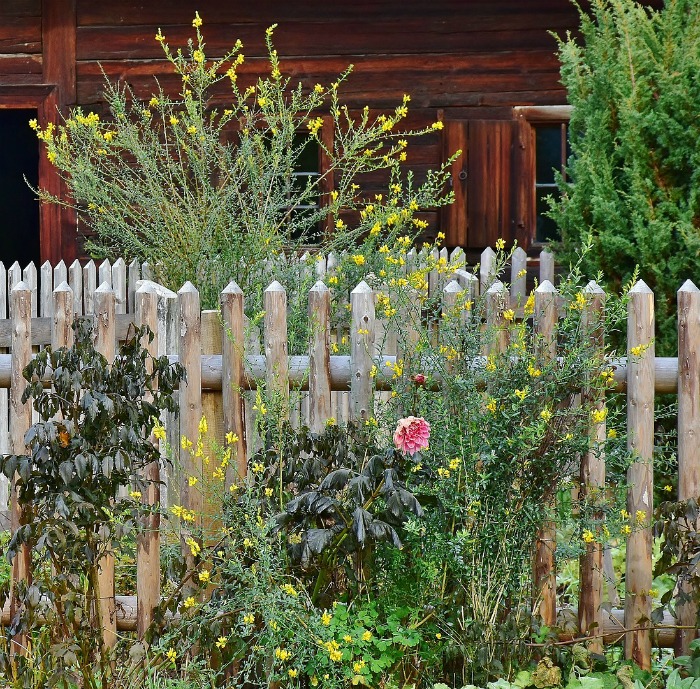 A cottage garden has a haphazard look to it