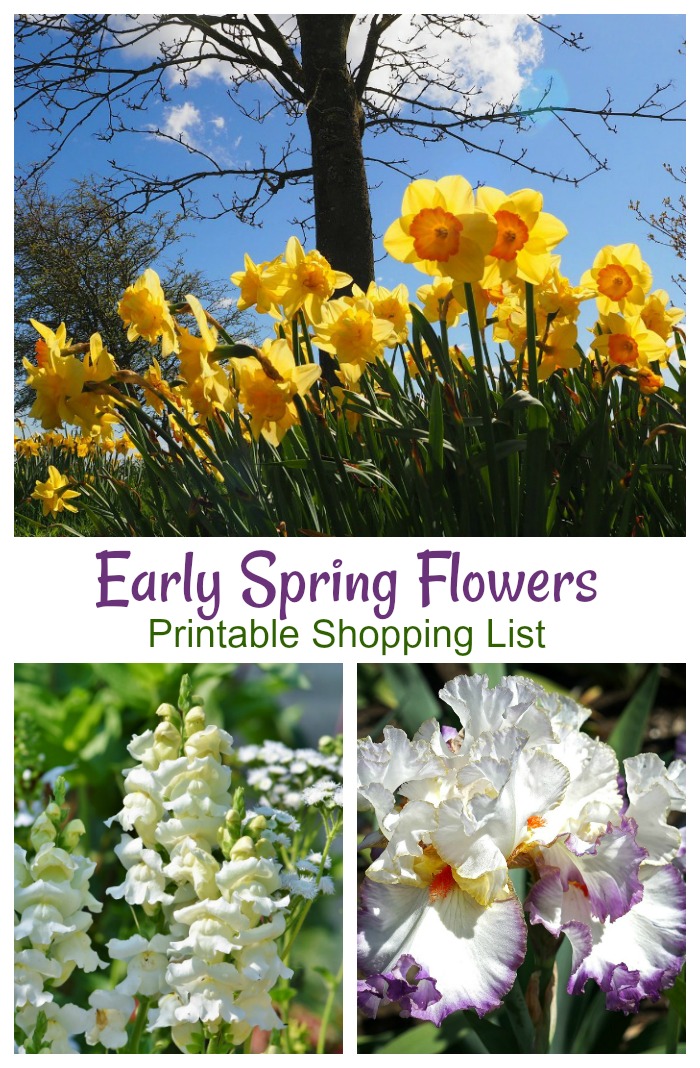 Early Spring Blooming Plants that can take the cold