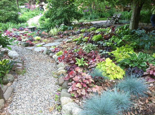 Paths lined with Heuchera in Stott Garden