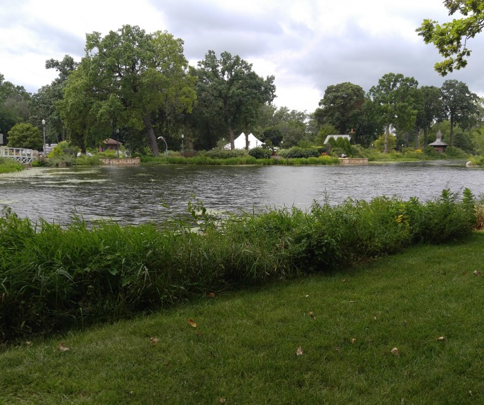 Christiana Creek in Wellfield Gardens.