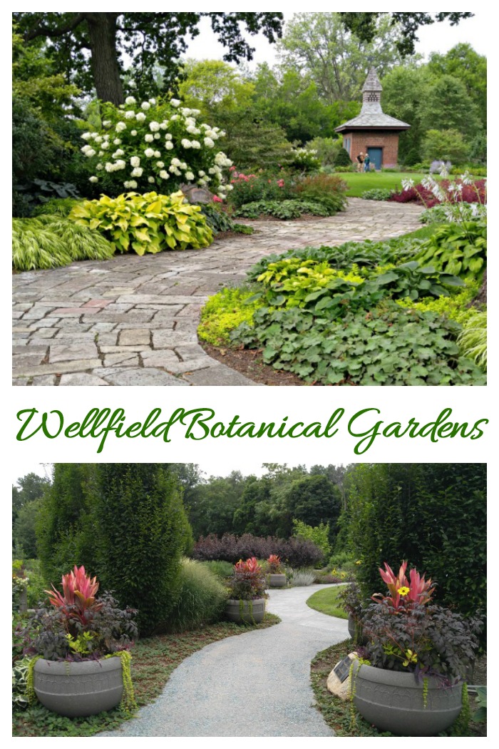 The landscaped paths at Wellfield Botanic Gardens are both rustic and formal