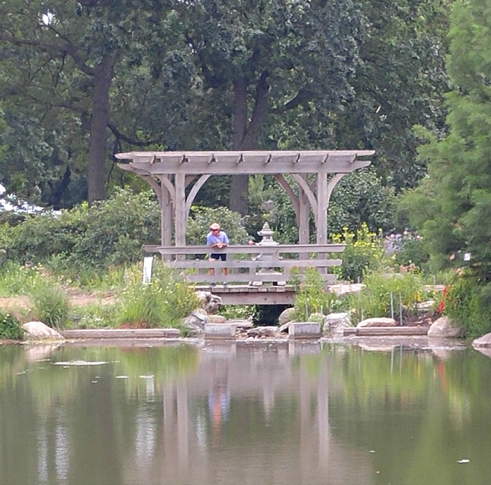 Gazebo at the entry to the island garden in Wellfield Botanic Gardens