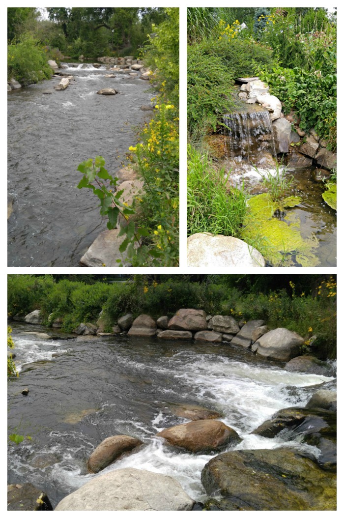 Christiana Creek is a big part of the Wellfield Botanic Gardens