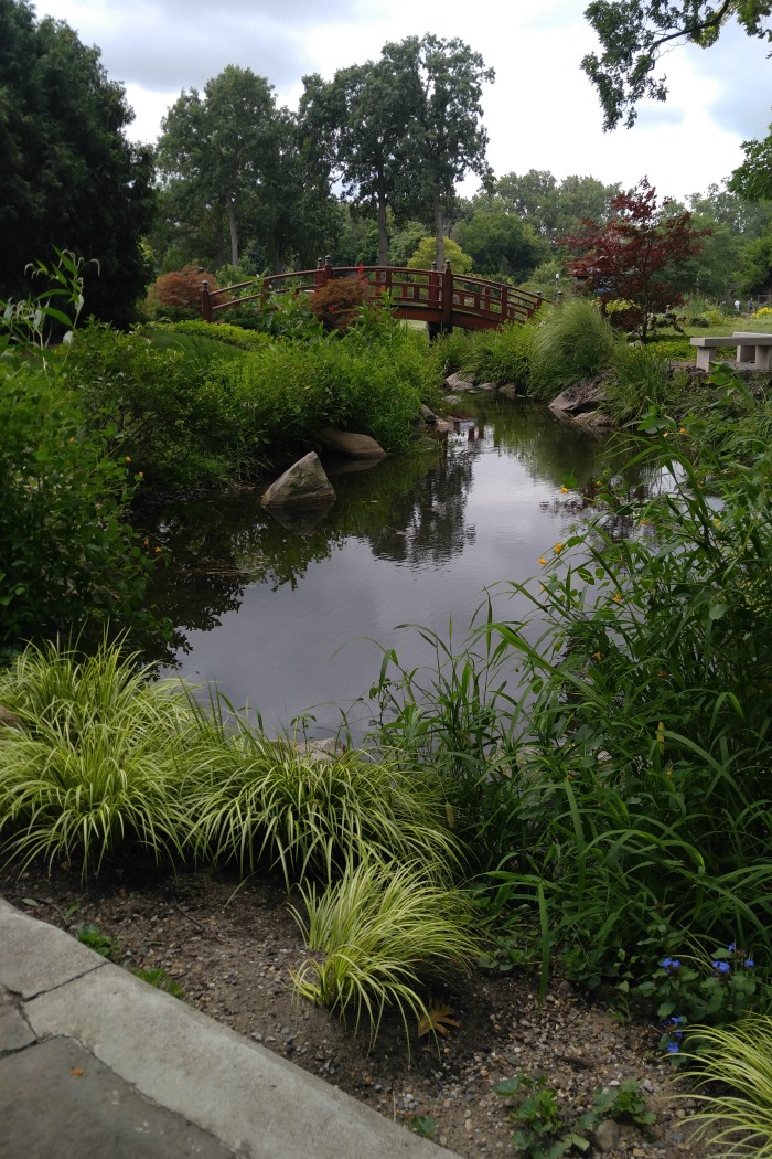 Landscaped water gardens and Japanese bridge