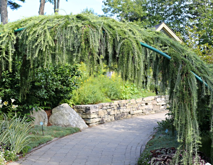 Rustic natural arbor in Boothbay Maine Botanical Gardens