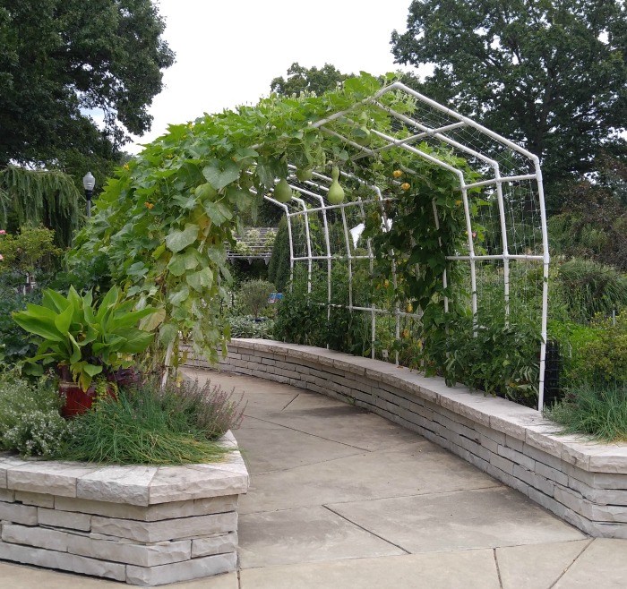 Arbor made from PVC tubing