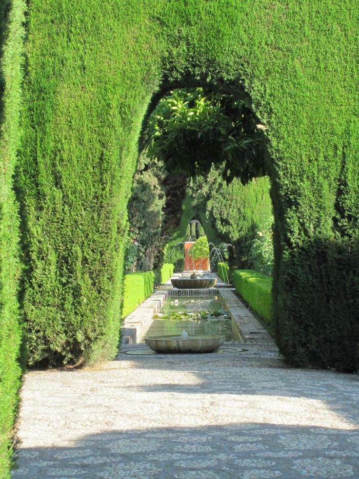 Alhambra cypress hedge trimmed into a garden arch