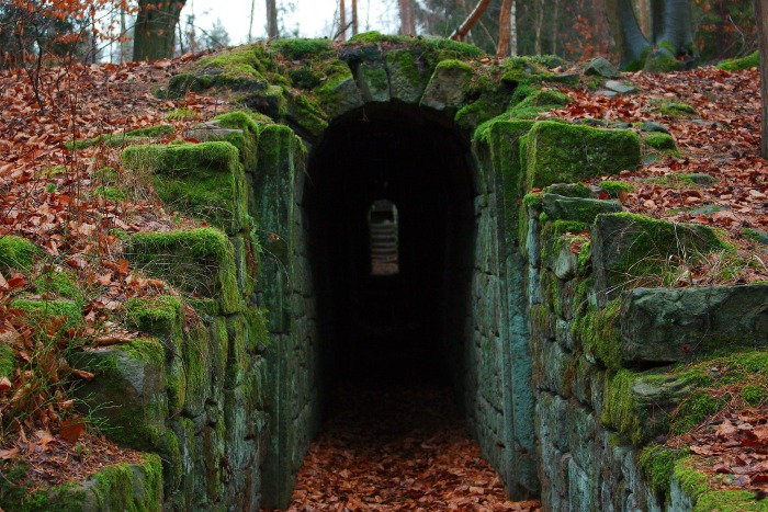 Natural Arbor with moss