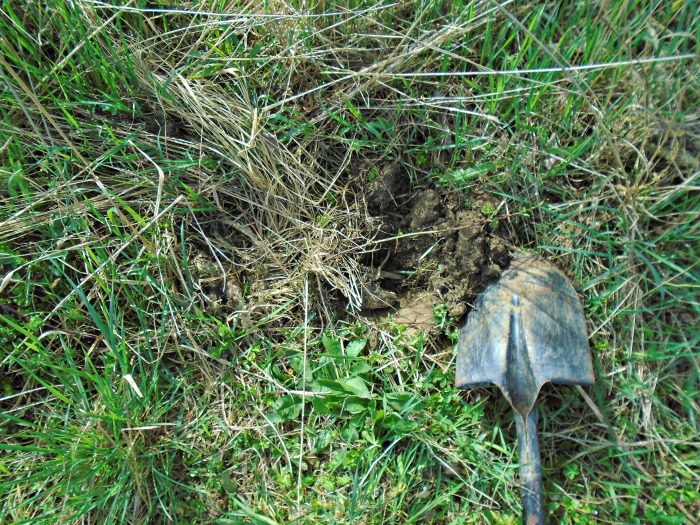 Dig new garden beds in the fall and they will be ready in the spring.