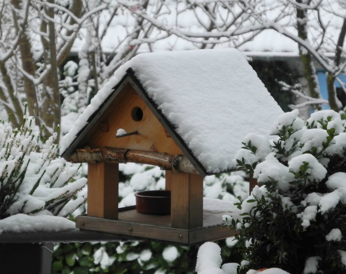 Bird house in snow