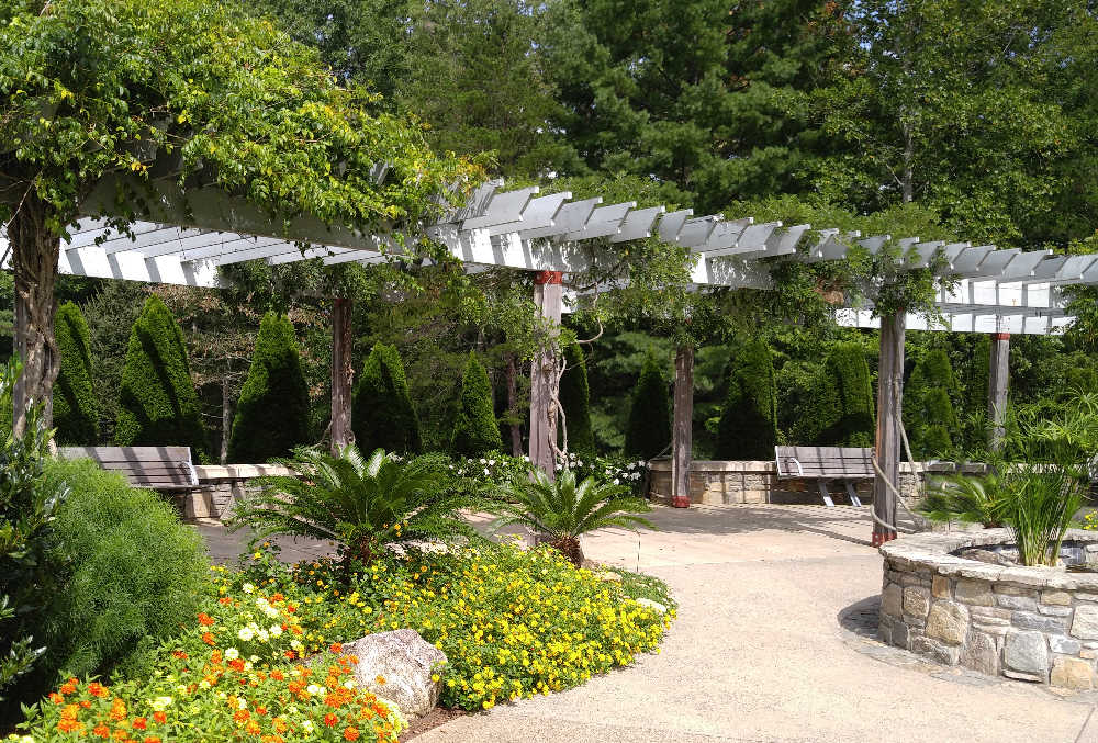 Pergola over a walkway at the NC Arboretum in Ashville, NC.